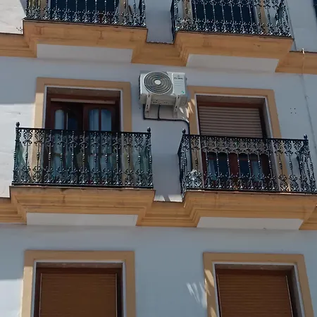 Dama Centro *